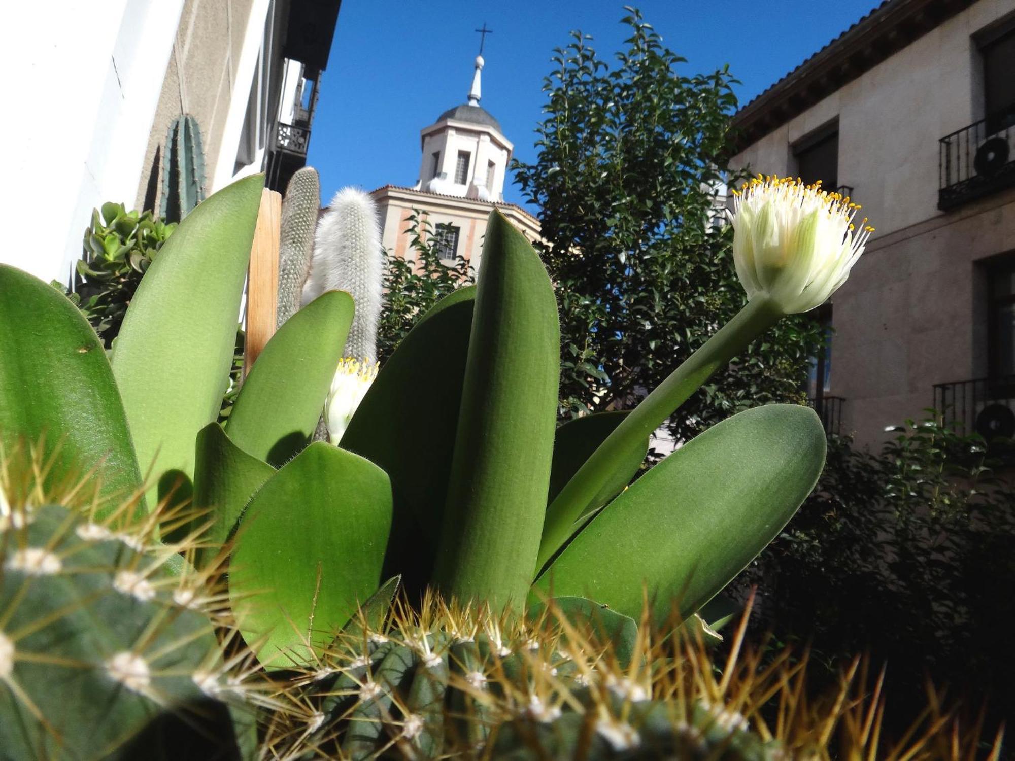 Hostal Horizonte Madrid "Check-In On-Line Recepcion 14H-23H" Exterior photo